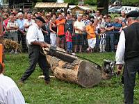 Tronconneuse a moteur (2)